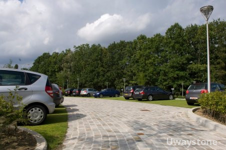 Natural Sandstone for the Driveway