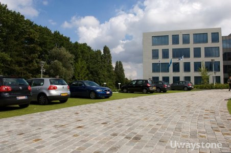 Natural Sandstone for the Driveway