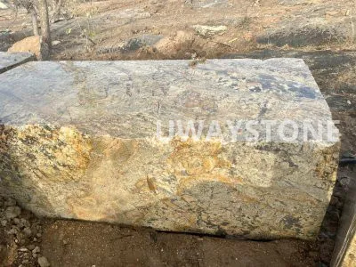 Alaska Gold Granite Blocks for Premium Slabs