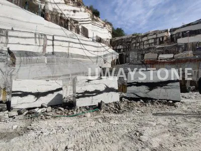 Panda White Marble Blocks for Premium Slabs